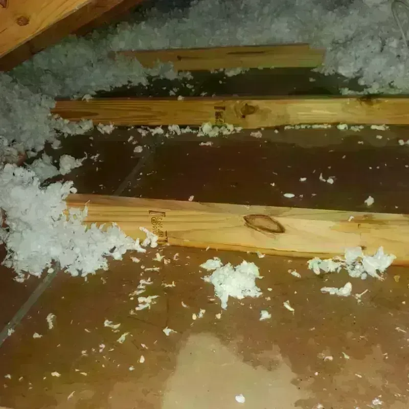 Attic Water Damage in Mississippi County, AR