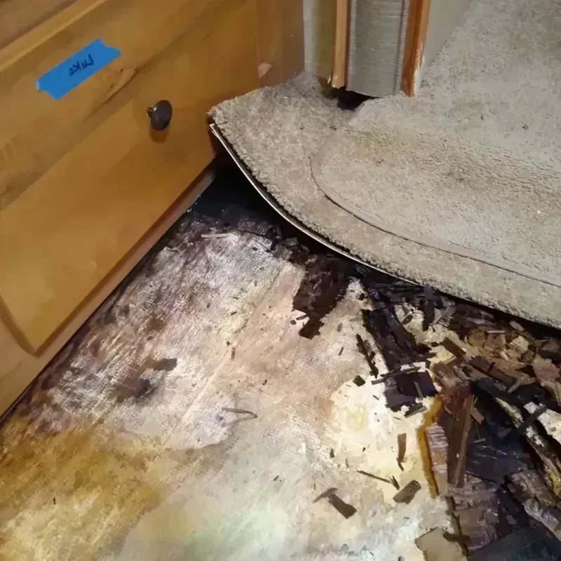 Wood Floor Water Damage in Mississippi County, AR